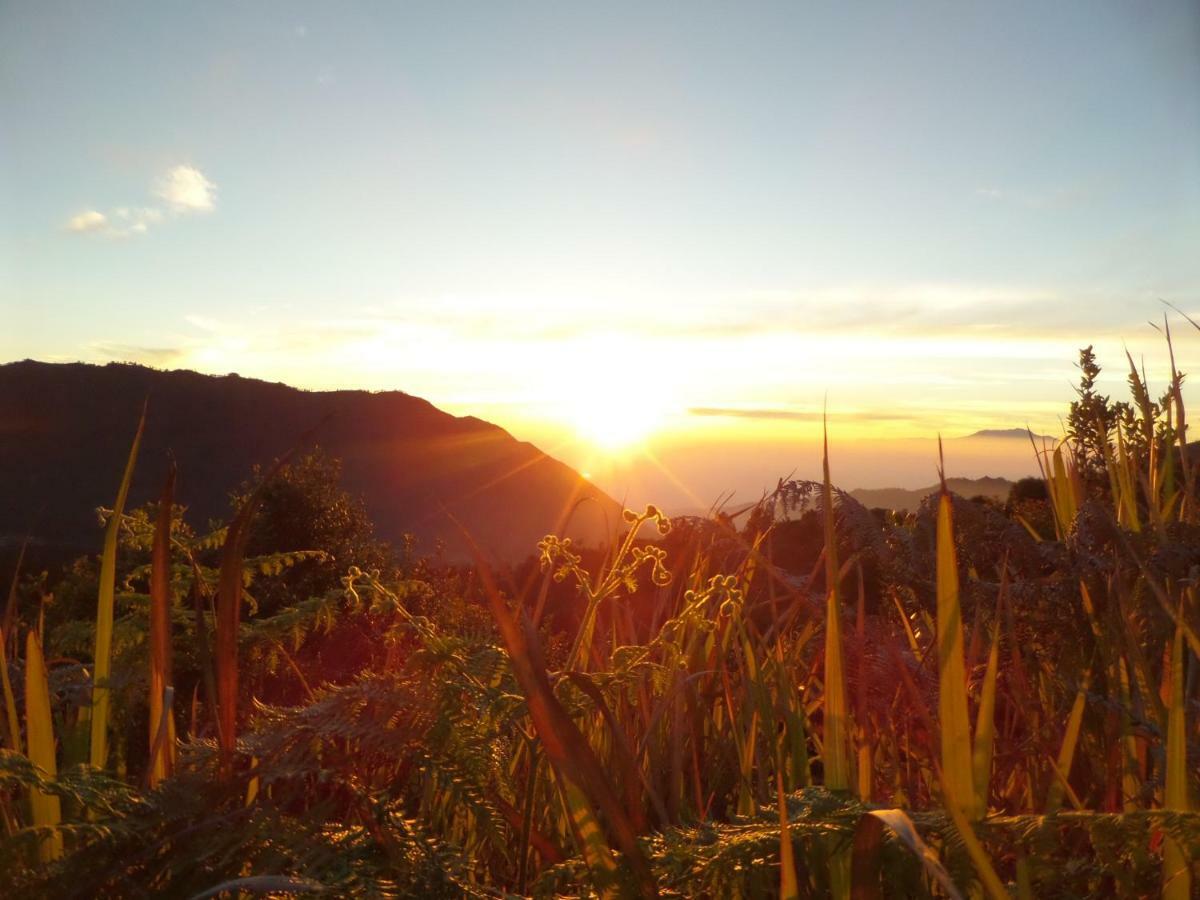 ホテル ブロモ ペルマイ ブロモ山 エクステリア 写真